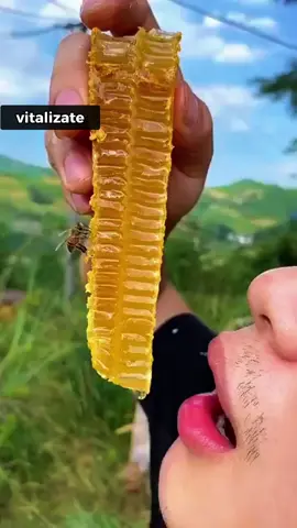 ✨ ¿Te imaginas cómo estaría tu cuerpo si tomaras Miel Natural durante solo 21 días? Dormirías mejor, tu piel brillaría y tu energía estaría por las nubes. Todo eso con solo una cucharadita al día. No es magia, es naturaleza. 🍯🌿 #SaludNatural #RemediosCaseros #BellezaDesdeDentro #PielRadiante #DormirMejor #EnergíaNatural #BienestarHolístico #TikTokSalud #VitalidadFemenina #DesintoxicaciónNatural #CuidadoInterior #MujerSaludable #HábitosSaludables #Vitalízate