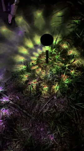 #nofibukcolorchangingsolarlights #nofibuk #TikTokShop 