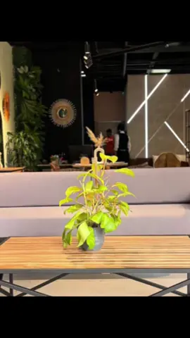 Prioridade acabamento só com E&P móveis industriais http://epmoveisindustriais.com/ https://www.instagram.com/epmoveisindustriais?igsh=YTJoNGxvYTRlYjZl&utm_source=qr ##serralheriaartística##marcenariacriativa##solda##moveisplanejados##video##videoviral##VoiceEffects##vairal##vaiprofycaramba##Vlog##viralvideos##tik_tok##tutorial##t##tiktokviral##brasil##brasil🇧🇷##TimeWarpScan##viralvideo🔥##tiktok_india##zonanortesp##capcut_edit##cat##comedia