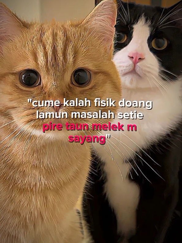 pire taun melekm syg😇🗿 #sasaklombok #lomboksasak #storysasak #kanaksasak #lomboktiktok #lombokvirall🌴🌴 #lombok #4u #fyppppppppppppppppppppppp 