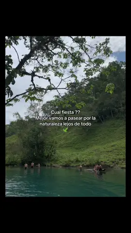 🦥🍃