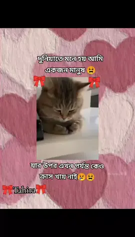 যার #উপর#কেও#ক্রাস #খায়#নাই#😢😢😫😔❤️‍🩹#foryoupage❤️❤️ #foryoupageofficiall #foryou @#foryou 
