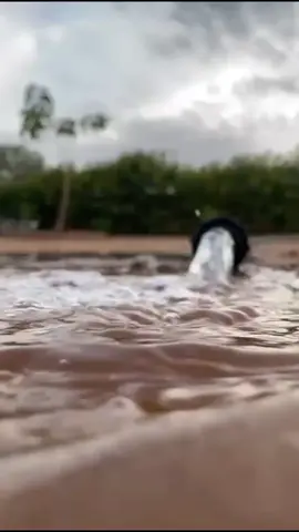 صباحيات جميله من المزرعه ❤️#صباح_المزرعه#صباح_الطبيعه#صباحيات#خواطر#المزرعه#صباح_الخير #مزارع#طبيعه#الريف