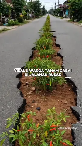 Jalanan rusak ditanami pohon cabai oleh warga sekitar 😭 #indonesiagelap #fyp #ngakak #aiart #aiindonesia #jalananrusak 