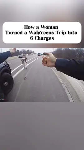 How a Woman Turned a Walgreens Trip Into 6 Charges part 4
