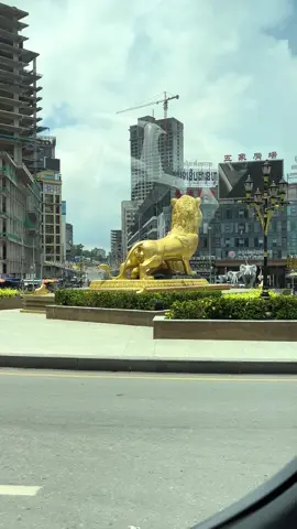 我一个人来到西港闯荡，我必须闯出我的一片天地