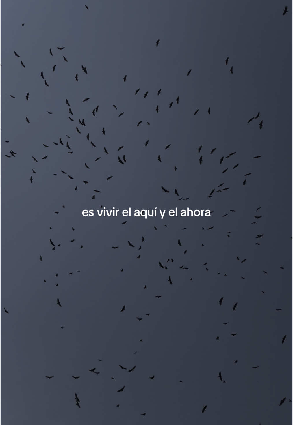 aquí y ahora  #fyp #gustavocerati #cerati #espiritualidad #vivirahora #aesthetic #ceratieterno #memories #