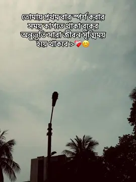 ❤️‍🩹🫀#viral #foryou #trending #fyp #tiktok #fypage #Love 