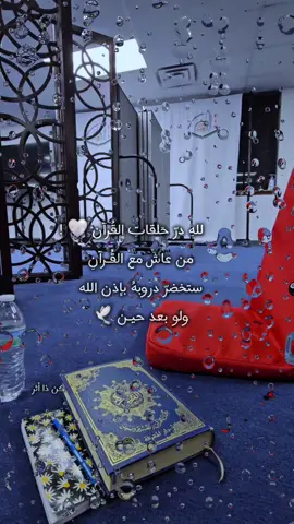 للهِ درّ حَلقاتِ القُرآن 🤍 !                من عاشَ مع القُـرآنِ  ستخضرّ دروبهُ بإذن الله   ولو بعد حيـن ‌🕊 #حلقات_القرآن_نعيم💗🍃 