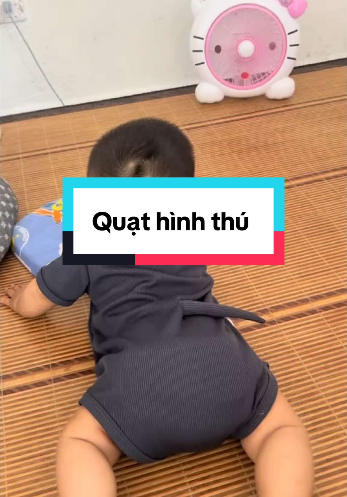 Quạt nhỏ mà có võ nha các bác. Đang có ctrinh khuyến mãi tặng kèm sticker nữa nha #typ #tranghoanhỉ #xuhuong #quathinhthu 