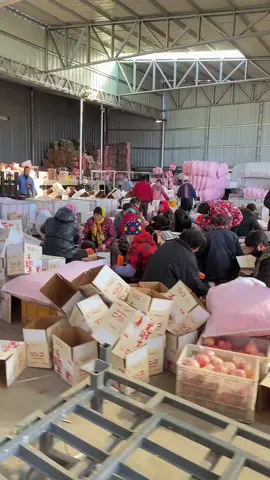 Trái Cây Trực Tiếp Tại Xưởng Trung Quốc .  #苹果 #traicaynhapkhau #traicaytrungquoc #hoaqua 