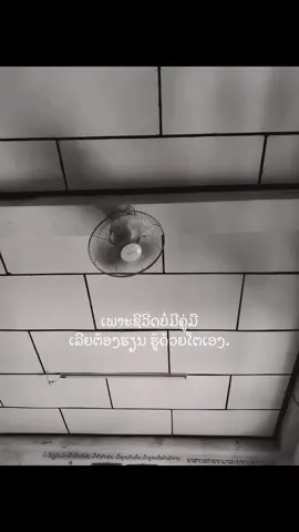 #เทรนด์วันนี้tiktok #ยืมลงสตอรี่ได้ #เธรดแทนความรู้สึก #viralvideo #ฟีดดดシ 