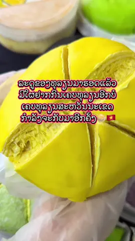 ກັບມາຂາຍລະນ໊າາ ເຄບທຸລຽນນຳເຂົ້າຈາກຫວຽດນາມ🇻🇳 ເຄບທຸລຽນສະຫວັນນະເຂດ🥞#ເຄບທຸລຽນສະຫວັນນະເຂດ #ເຄບທຸລຽນ #ທຸລຽນ #ຖົ່ວລຽນ #ເຄບເຄັກຖົ່ວລຽນຈາກຫວຽດນາມ #ສະຫວັນນະເຂດ🇱🇦 #ສາວສະຫວັນນະເຂດ🇱🇦 #savannakhet 