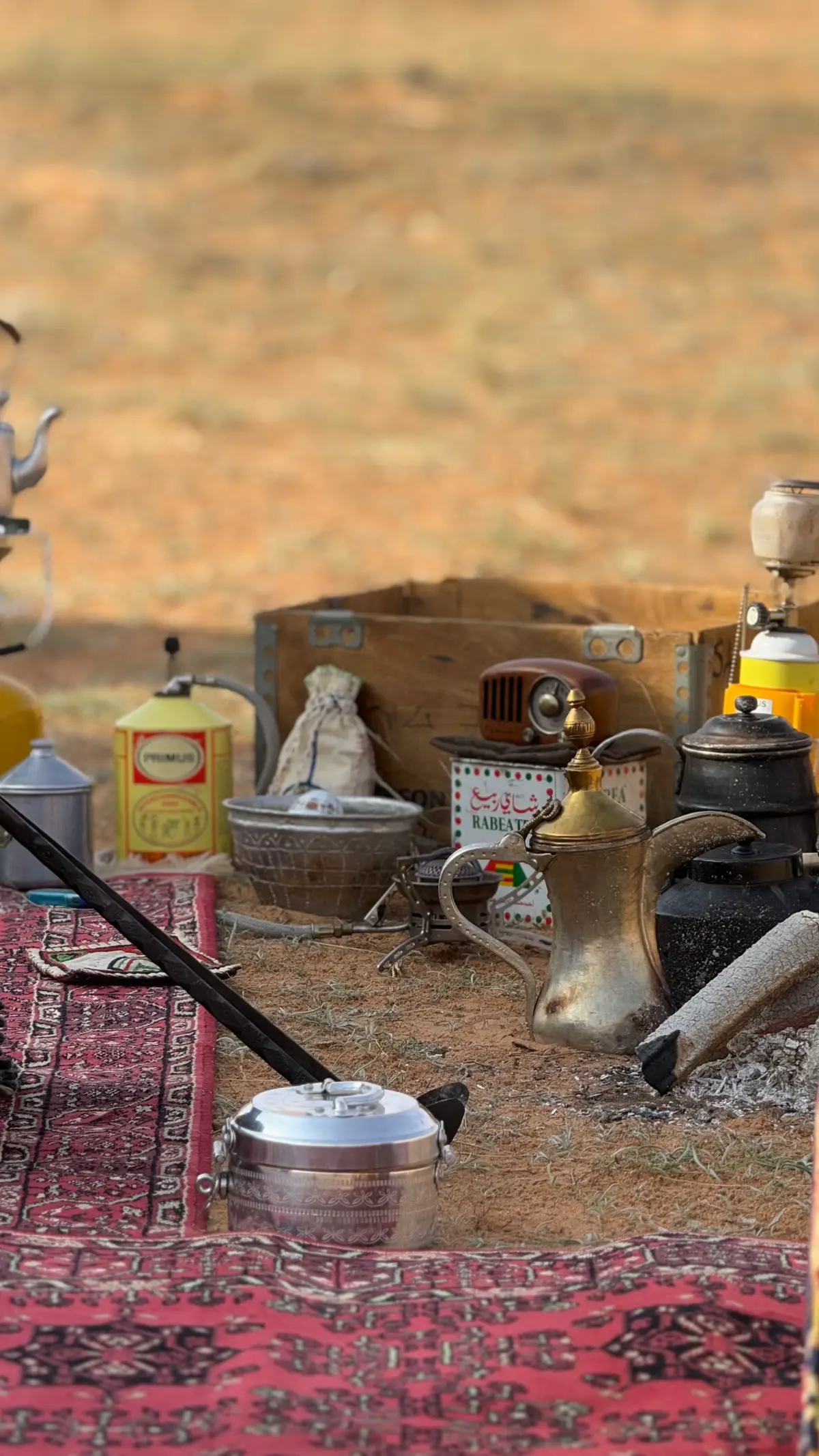 #القصيم_بريده #اكسبلورر #طلعه_بر #كشته_طلعه_بر_وناسه #بريده #ترندات #الثويرات #الشتا #الشتاء_البرد_اجواء_شتويه #تصويري📸 