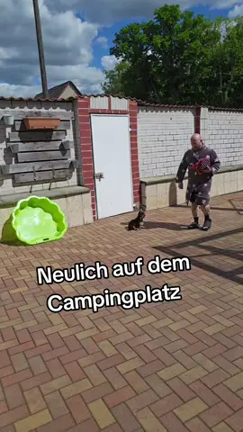 suchst du noch ne geile Live Agentur? Schau in meine Bio ❤️ 