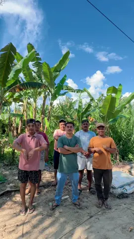 #promomakangajian #tapselmandailing @okta @bang Ali💫 @J3RUK M4N15 MUNTH3 @🔥 kangkung comut🔥 