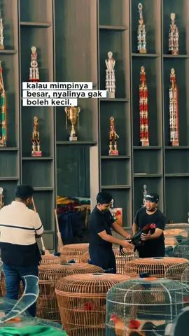 #CapCut “ kawan  kawan . Semua berawal dari semangat dan keberanian . Berjuang dan tekun kunci keberhasilan . Ayo bisa !! #mdnaceh #mdnaceh #kandangayam #kandangternak #ayampakhoy #fypシ゚ @MAULANA MDN_01 