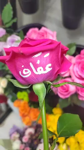 #عفاف#اكسبلور #مصر_السعودية #الحبايب #حروف_الحب #مصر_السعودية 