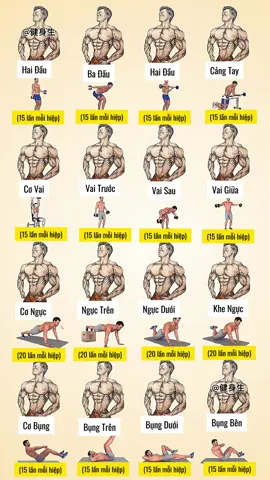 Thực hiện 3-6 lần mỗi bài, rèn luyện toàn thân #gymbody #renluyentoanthan #gymtainha #huongdantapgym #tapgym #nguoimoitapgym #Fitness 