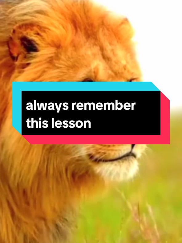always remember this lesson #truth #motivational #energy #relationshipquote #quotemotivation #motivationalquote #quotes #motivation #trendingmotivation #motivationalvideosforyou #ChooseYou 