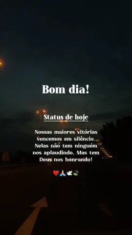 #frasemotivacional #fases #motivando #status #status #otimodia #reflexaododia 