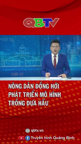 Nông dân Đồng Hới phát triển mô hình trồng dưa hấu #truyenhinhquangbinh #qbtv #quangbinh #nongdandonghoi