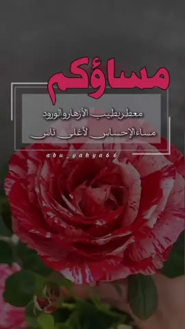#مساء_الخير #مساء #مساء_الحب_والسعاده 