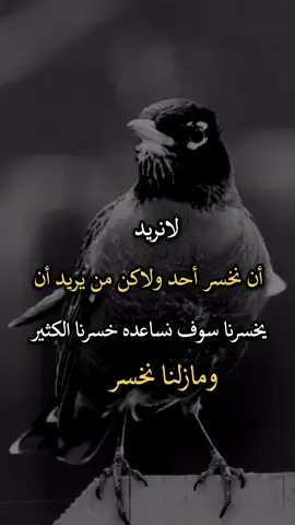 #عبارات #عباراتكم_الفخمه🦋🖤🖇 #افضل_عبارة_لها_تثييت 
