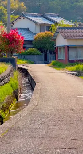Japan village tour 2025🇯🇵🌸#foryou #viral #typシ #Japan #日本 #village #田舎 #tour #2025 