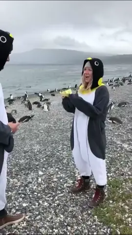 Dressed as penguins, they found forever #ProposalGoals #PenguinLove #SheSaidYes