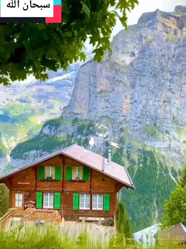 #مشهدات_تيك_ت 