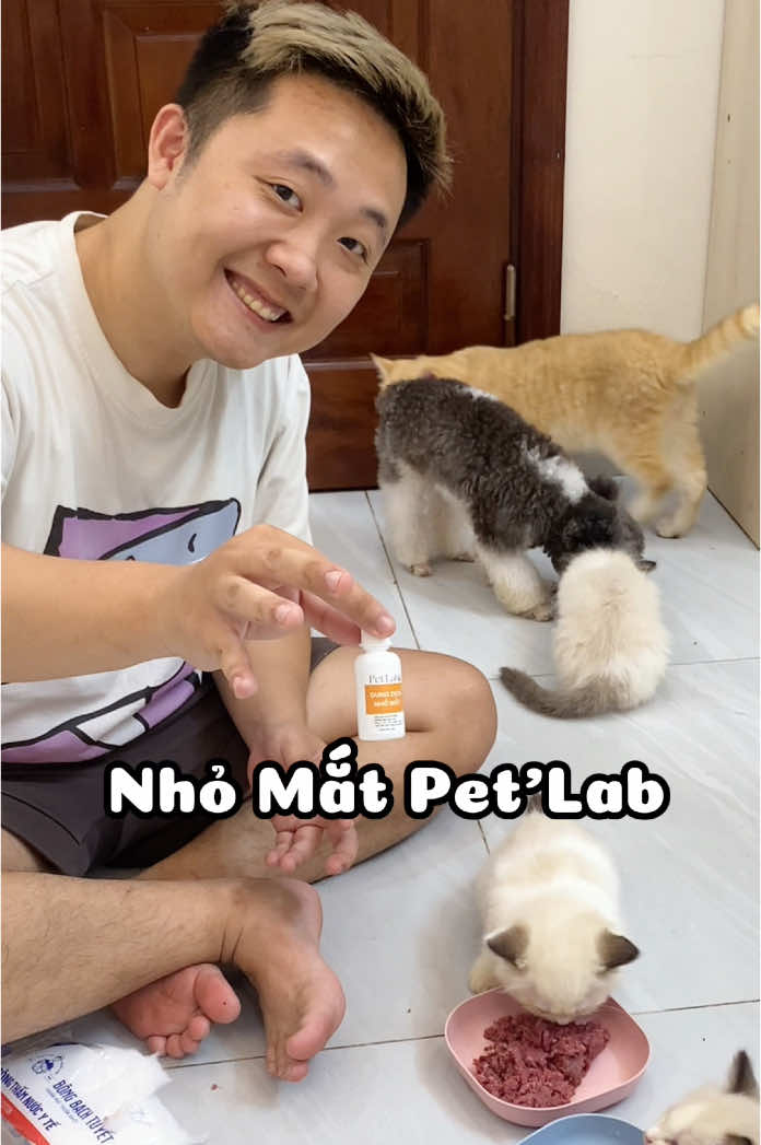 Nhỏ mắt Pet’Lab cho chó mèo #gàtrốngnuôimèo #petlabvietnam 
