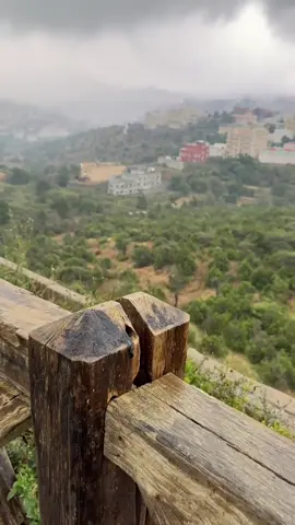 #الباحة #الجنوب #ربوع_بلادي 