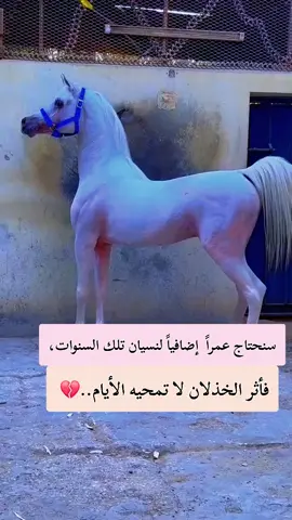 #عبارات #🥀🖤 #fypシ #explore 