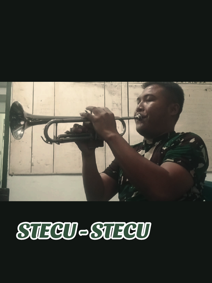 STECU-STECU 😙😌🥰 #cover #fyp #trumpet #musicarmy #stecustecu 