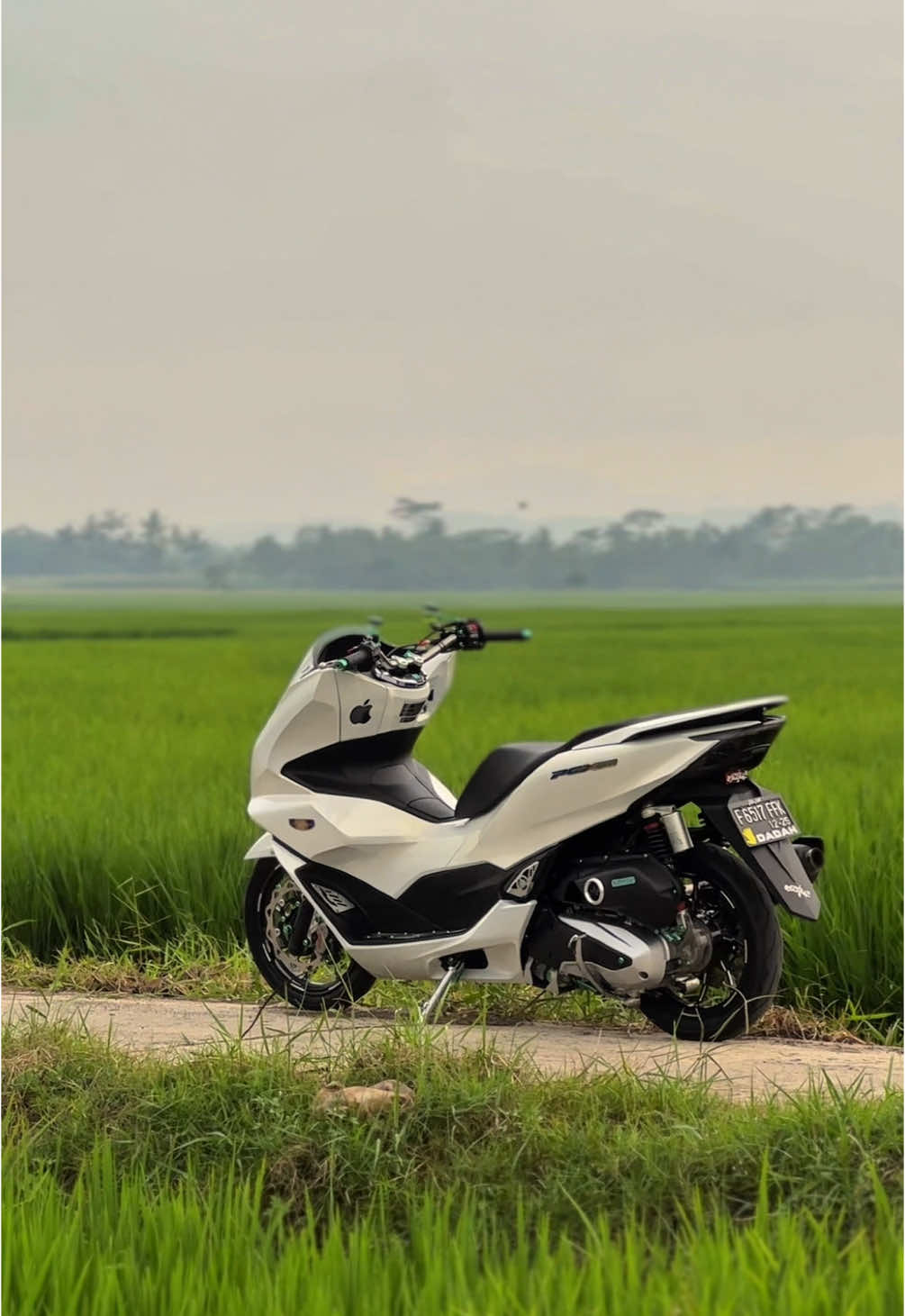 #pcx160 #pcx2021 #pcxmodifikasi #fyp #fypyoupage #pcx #honda #pcx160indonesia #pcx160ล้อ17แต่งสวย #pcxproper #pcxindonesia #pcxmodifikasiindonesia #pcxputih 
