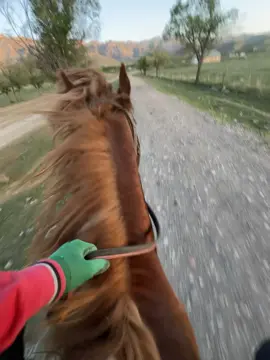 #май#улетайнакрыляхночи #кони #рекомендации 