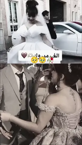 #بيسان_اسماعيل #انس_الشايب #شعب_الصيني_ماله_حل😂😂 