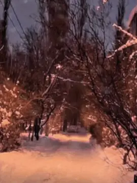 я так обожаю) #dayerteq #ятакобожаю