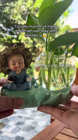 3 món Bình Thuỷ Canh, Chú Tiểu, Đế #binhthuycanhchutieu #chutieukembinhthuysinh #chutieutrangtri 