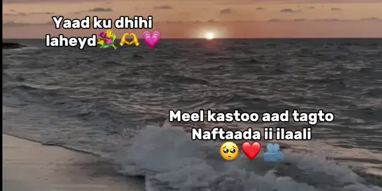 Beerkaad kutaaliyo🥺❤️🫶💐#Tasliim❤️‍ #CapCut #somalitiktok #viral #foryoupage #naxrisleyy💗🥺 
