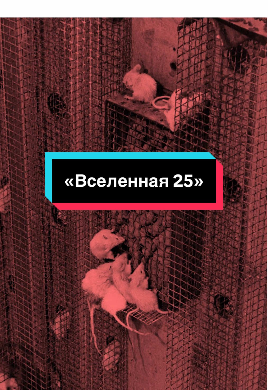 Результат эксперимента пугает | #наука 