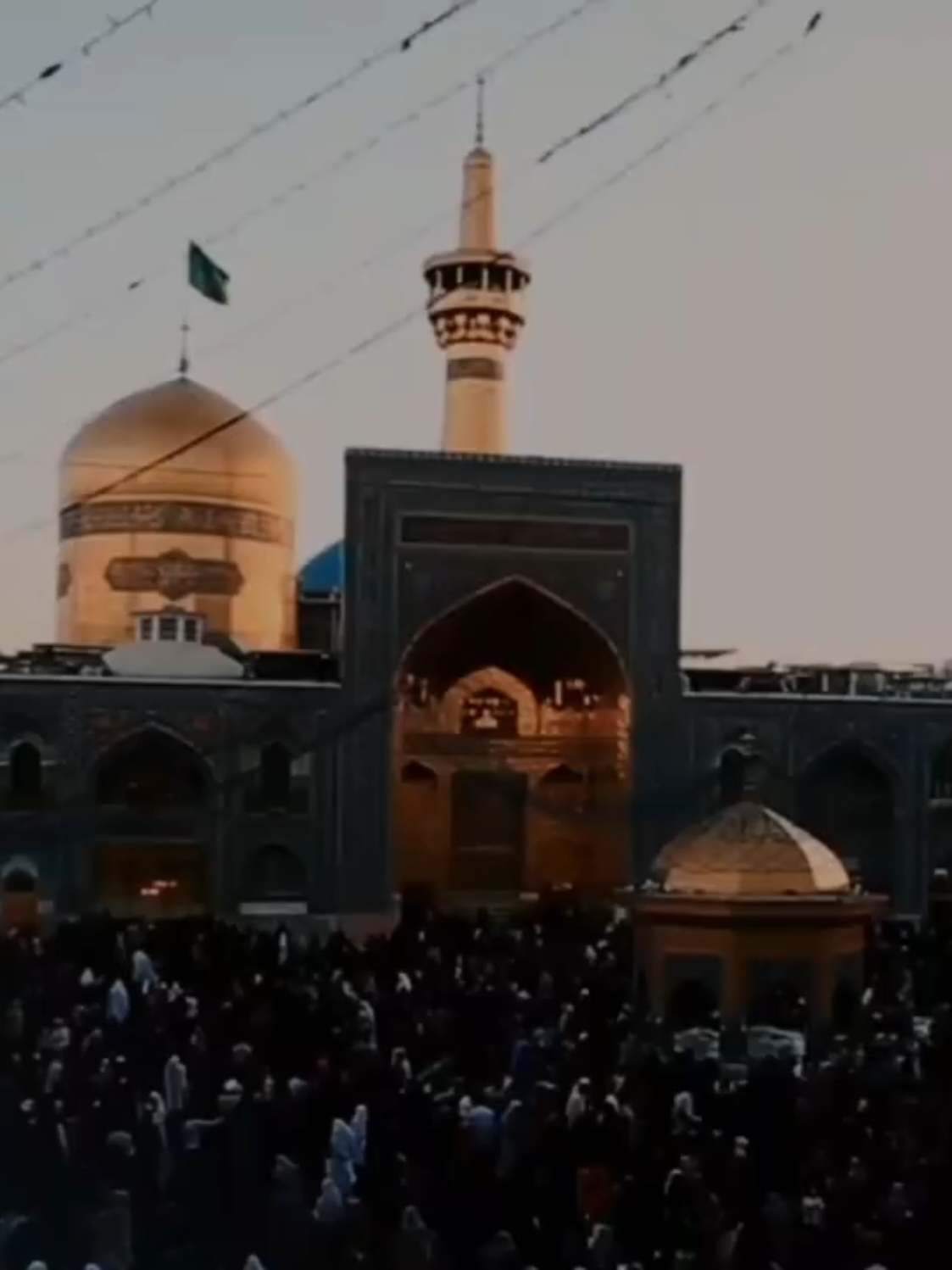 #الامام_الرضا_عليه_السلام #ياعلي #مشهد #غريب_طوس #سيد_سلام_الحسيني #2025 #fyp 