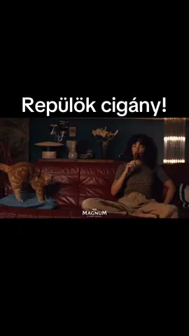 Repül😂 #repülökcigány #fyppppppppppppppppppppppp #vicce 