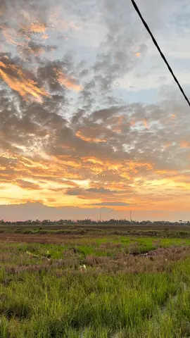 santai petang🥰🌤️#sunset #sunsetlover #petangyangindah🥰 #tenangisgood #burungterbangbebas 