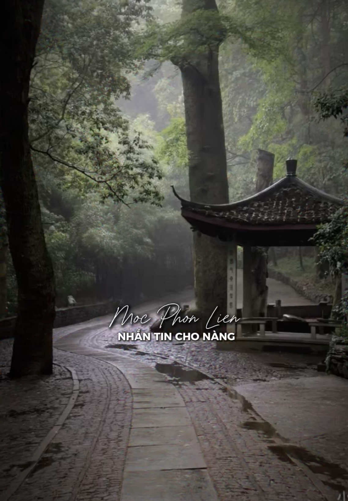 #CapCut móc phone liền #nhachaymoingay #donghao #edit 