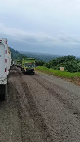 kepala hijau tetap andalan #fyp  #kontenviral #tambangbatubara 