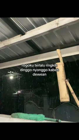 #jowokuciwoo 