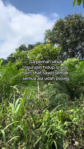 🥵💪#petanisawit #petanimuda #bossawit #lewatberanda #fyppppppppppppppppppppppp #fypage #fyp #