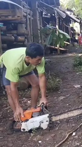 tebang pohon kelapa ngoler oler duwur#ti̇ktok#Fyp 